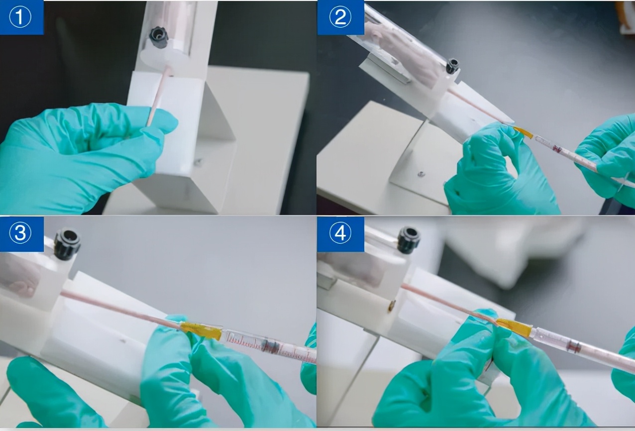 aav鎰熸煋灏忛紶瀹為獙,aav灏忛紶娉ㄥ皠鍓傞噺