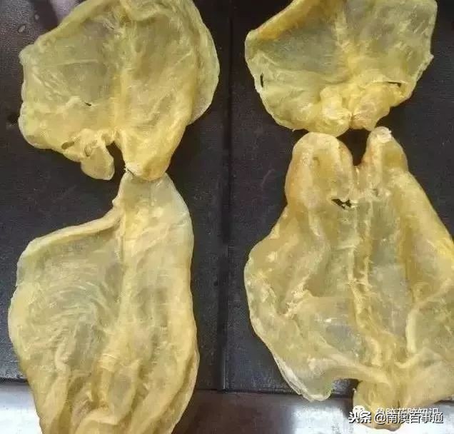 涨知识系列详解,涨知识简短