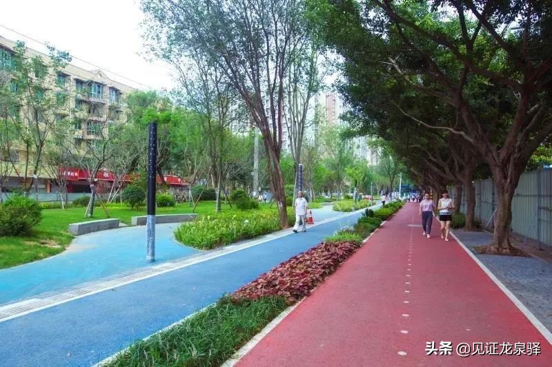 四川省NO.1!龙泉驿凭什么能获全国绿色发展百强区?背后竟藏着这样的秘密~