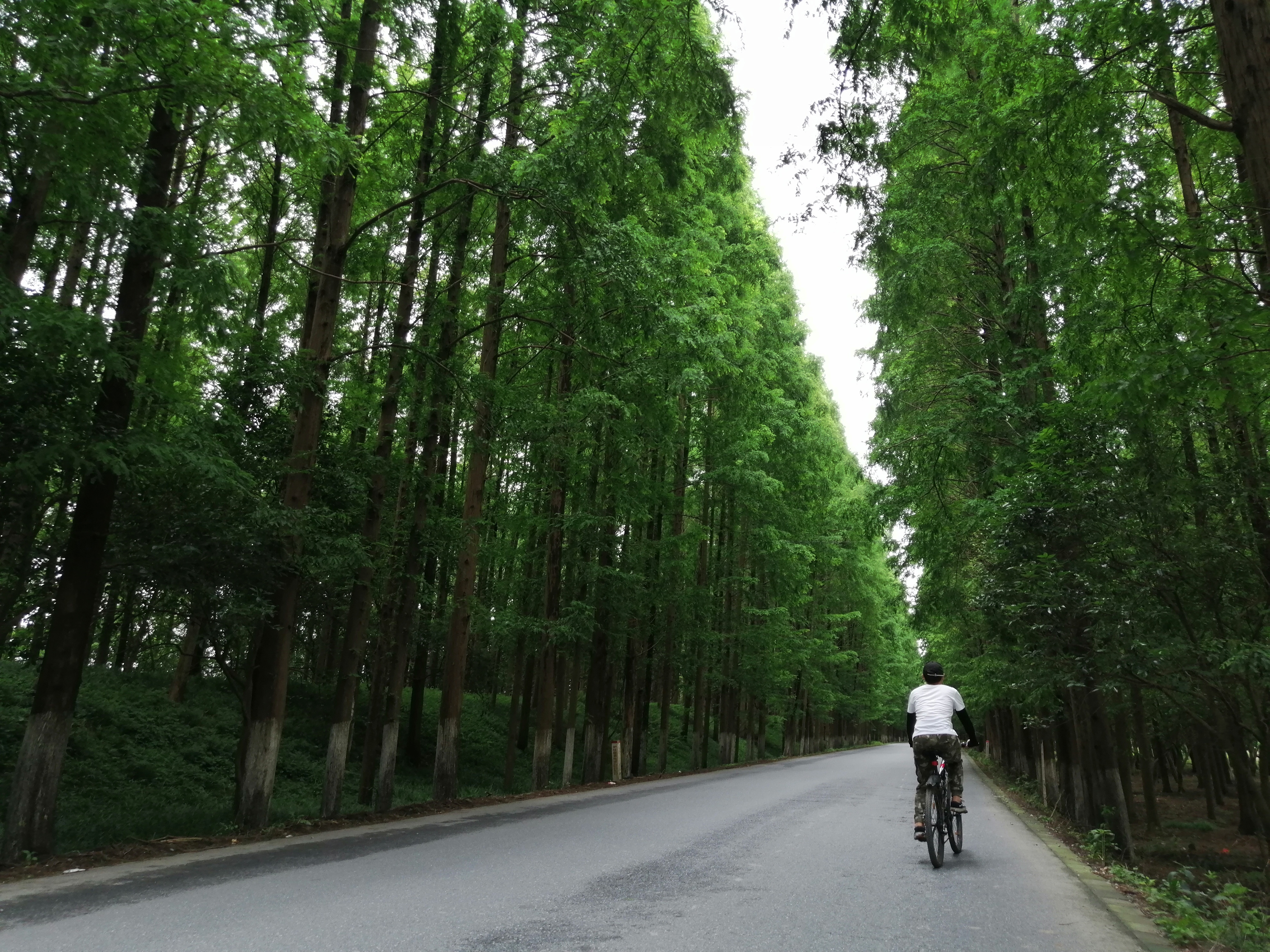 你真的了解宜宾吗,带你了解临港