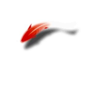 金碑君告诉你公司注销原因怎么写