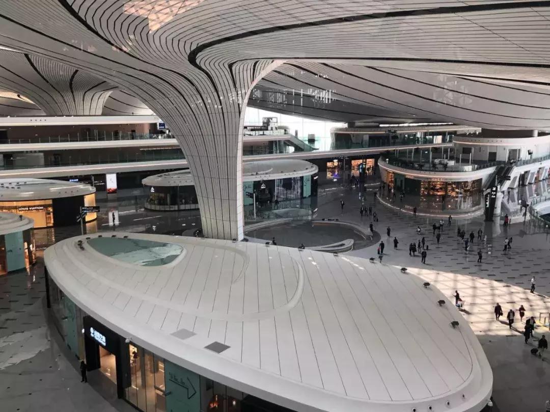 日本网友评价大兴机场,日本网友评论中国飞机