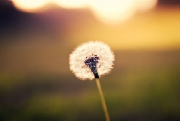 「原创诗词」方喜民|旧篇成《史记》新曲谱《春秋》