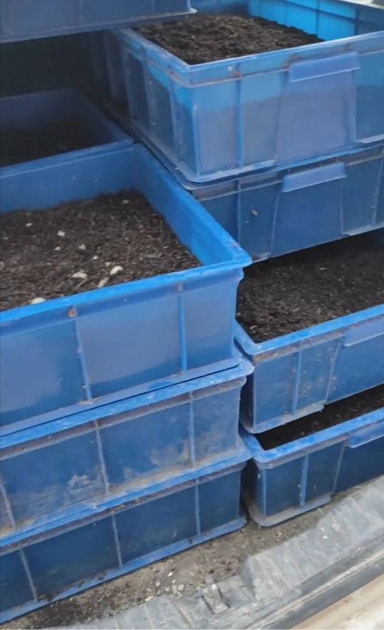 养殖蛴螬用什么性质的土地,养殖蛴螬需要办证吗