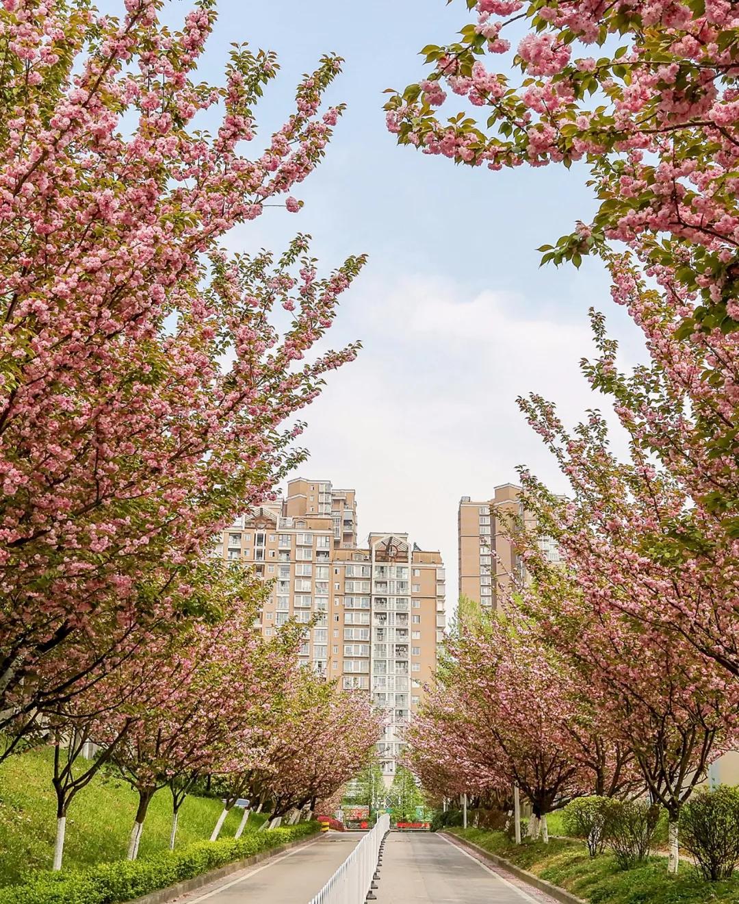贵阳市创新型城市排名,贵阳市示范性综合实践基地