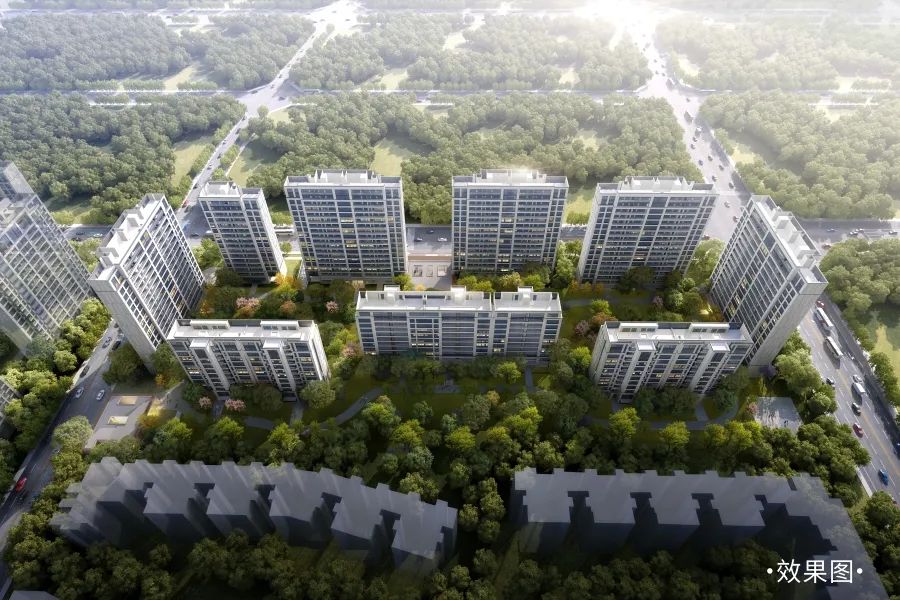 最近成华区新消息,最新成华区消息