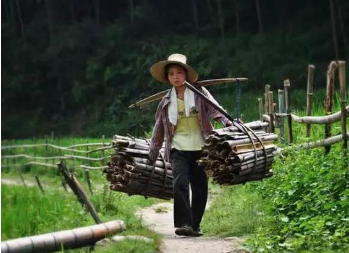 河南农妇，拿家中砍柴刀鉴定，专家：你拿来砍柴损失了80万