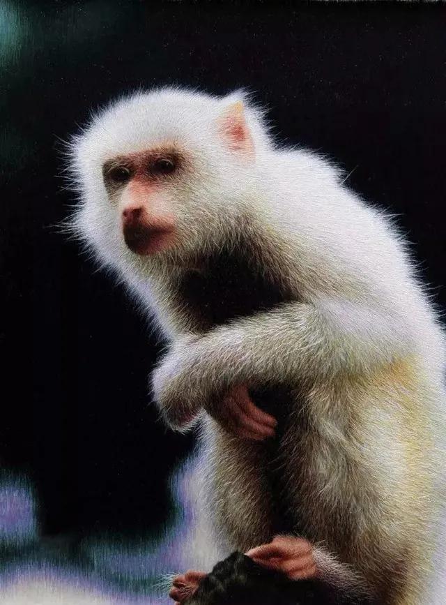 苏绣最漂亮的一幅,苏绣大师精美作品