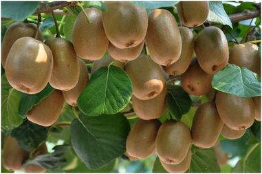 甘肃的地理与气候,甘肃自然环境