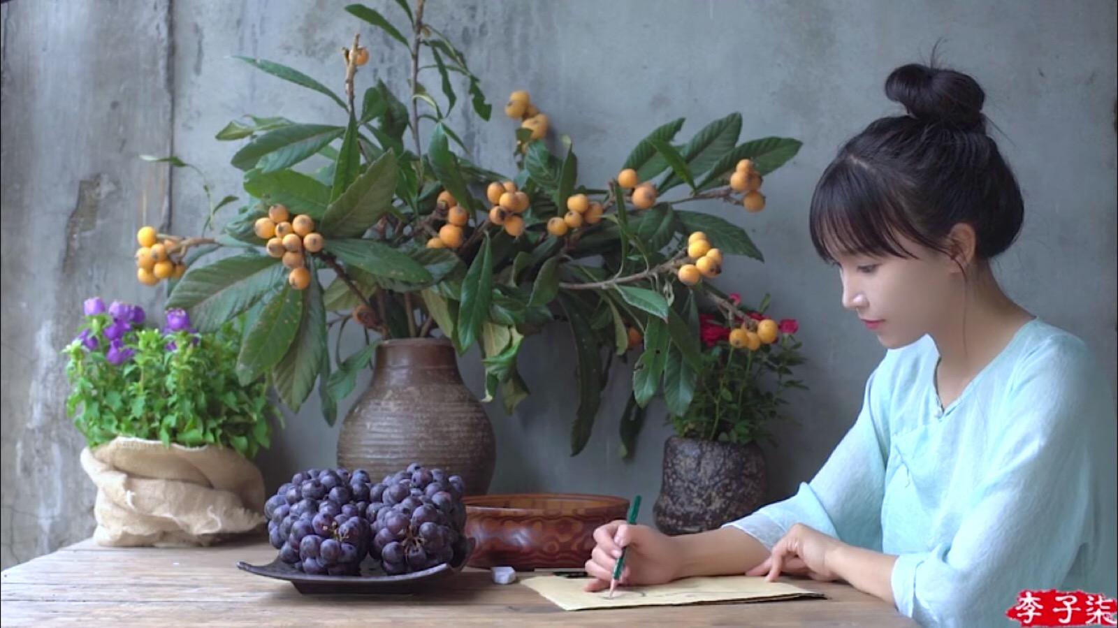 李子柒乡村振兴大使,李子柒乡村文化振兴