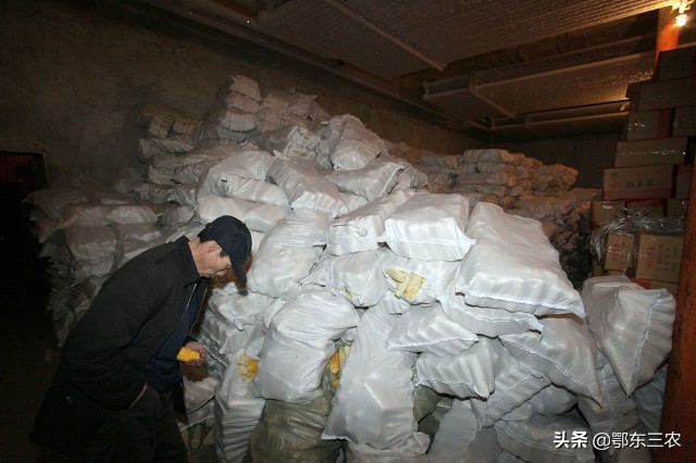 怎么有效消灭小麦里的麦牛,农村粮仓生虫怎么办