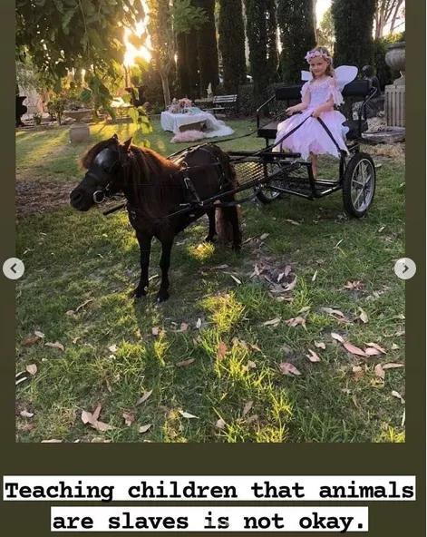 外国妹子冲进肯德基泼血怒吼：吃肉是大*杀屠**！网友们：有病？