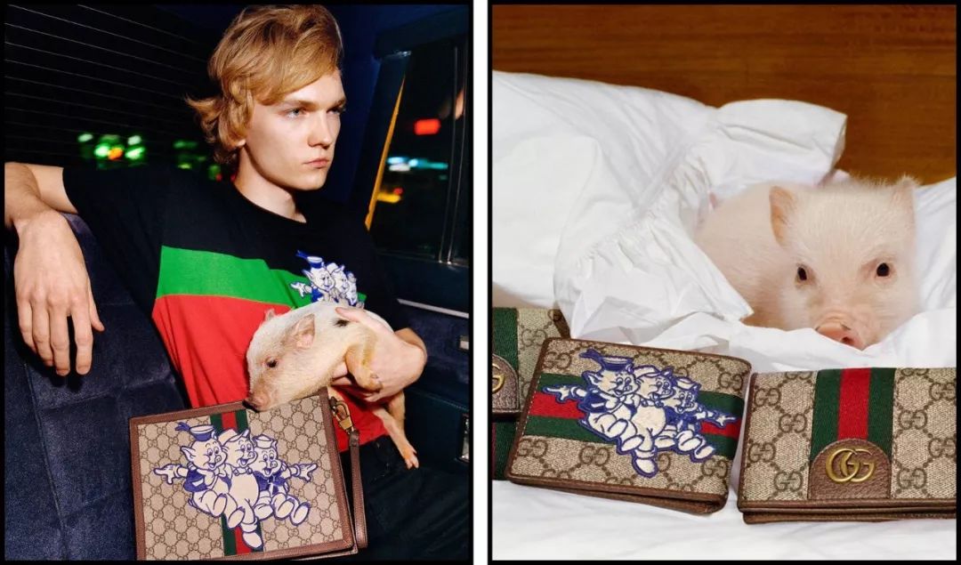 猪都拍时尚大片了，你还在穿妈妈给你买的红秋裤？