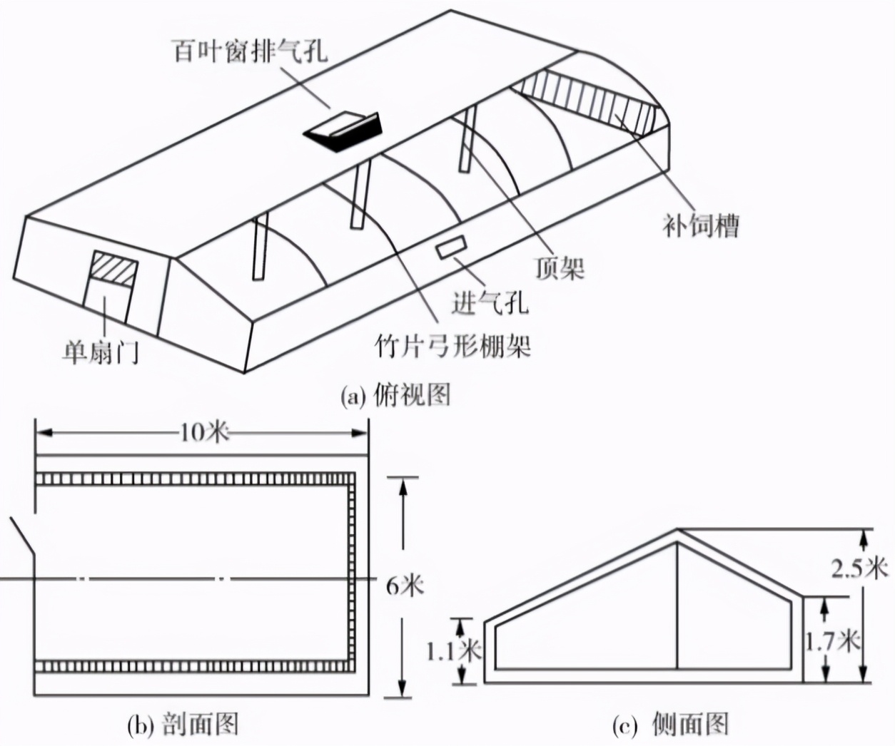 最新养羊舍3米高羊舍怎么建,养羊技术羊舍建造图片