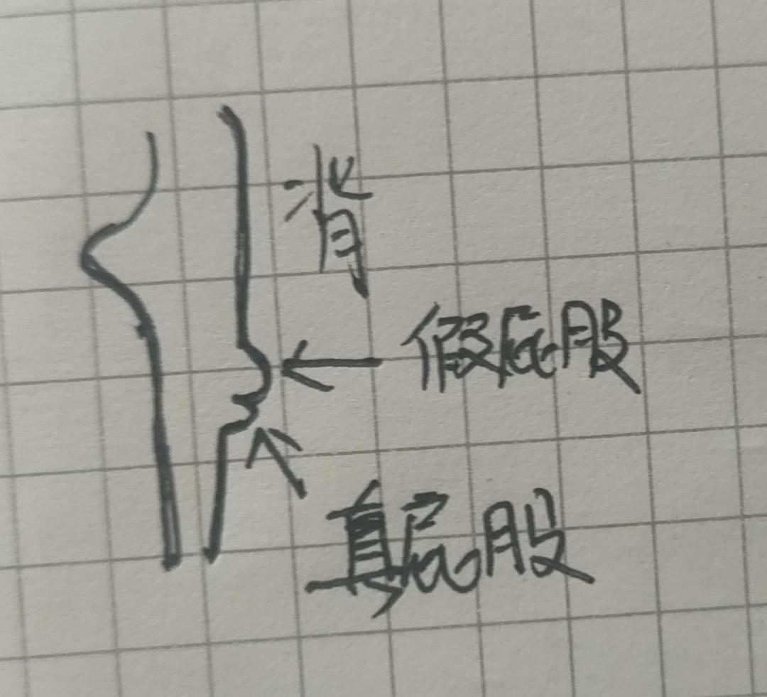躺着怎么翘臀最快最有效,如何一招快速拥有翘臀