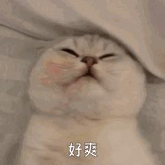 赵丽颖为什么越来越显老,31岁赵丽颖现在转型还来得及吗