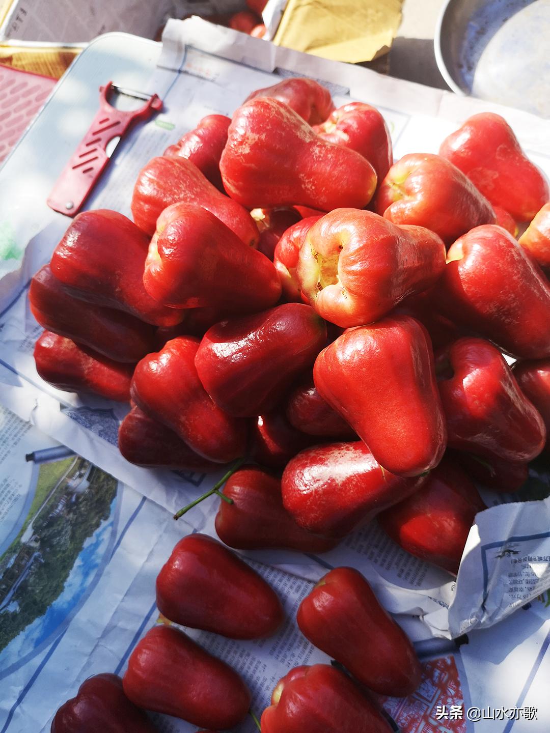 石家庄自驾海南旅游攻略,石家庄到海南三亚自驾游最佳路线