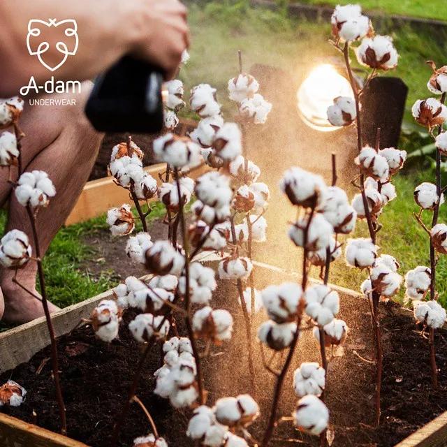 520好物,520示爱好物推荐