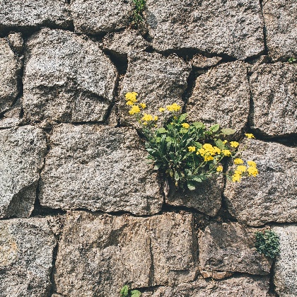 十二生肖最不怕牺牲的星座排行,十二生肖最不能接受的星座