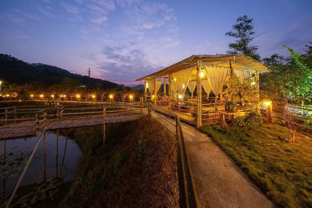 藏于稻田竹海中的增城轻奢民宿,广州增城中新镇三天两夜民宿推荐
