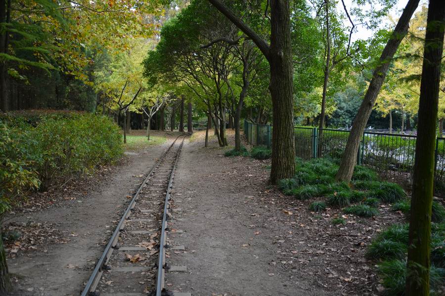 上海吴淞炮台湾湿地森林公园攻略,魔都上海共青森林公园