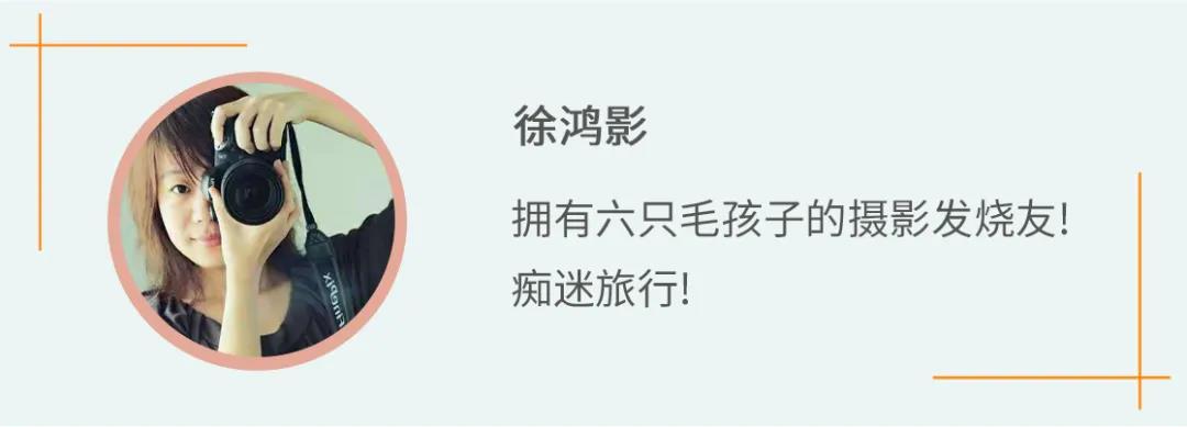 看着身上一片片“玫瑰花瓣”，我把怀疑的目光投向了猫咪