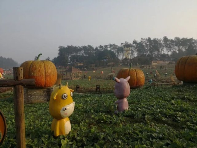 去三亚不知道去哪里玩的看过来,三亚旅游去哪个森林公园比较好点