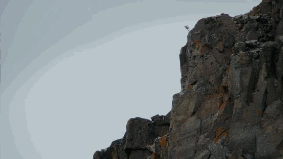 长春家长都领着孩子在干这件事儿，你没做，就落后了！