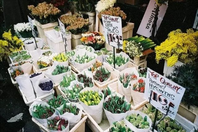 开一家花店怎么装修,如何开一个小型的花店赚钱