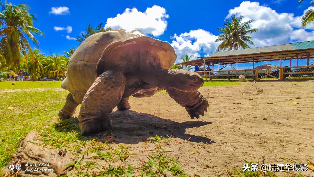 塞舌尔最值得去的岛屿,塞舌尔伊甸园在哪里