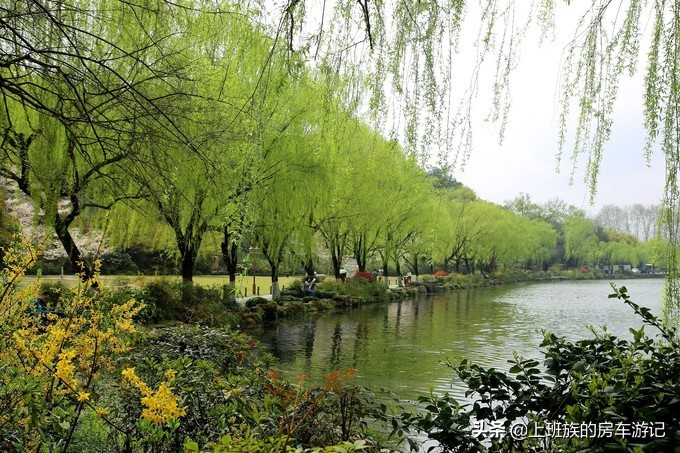 周末微旅行：秦望山麓访名校，白沙堤岸醉桃柳（第二季）