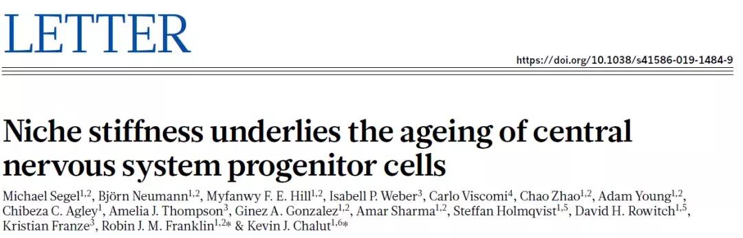 国外神经干细胞研究的最新进展,干细胞治愈糖尿病最新研究进展