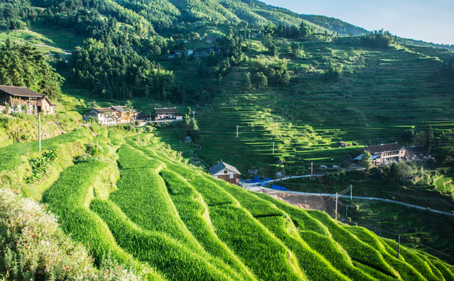 省派第一书记驻村工作,2022年全省驻村第一书记