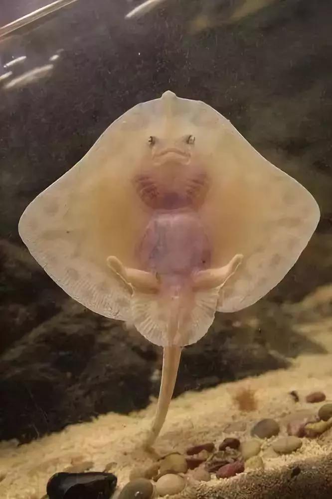 世界上最惊艳的海底照,100张绝美的海底照片