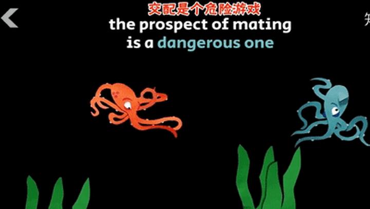 章鱼是寒武纪生物吗,章鱼有统治地球的能力吗