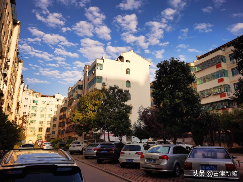 秋日暖阳运动场上活力四射,金秋十月秋高气爽运动健儿展风采