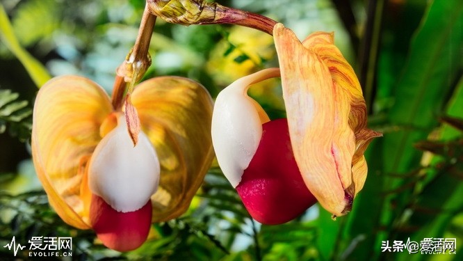 在家可以享受影院级的震撼视频,在家享受影院效果