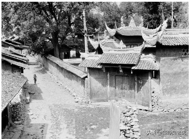 一将功成万骨枯吾将往矣,一将功成万骨枯说唱版