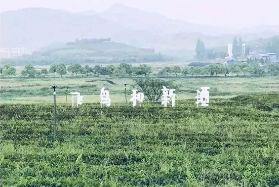 “土气”的休闲农业,正成为高端品牌争抢的“联姻”对象