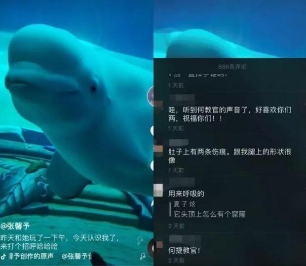 风水轮流转张馨予,风水轮流转女明星