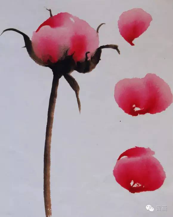 张克申写意牡丹画法教程,邵丹写意牡丹各阶段画法