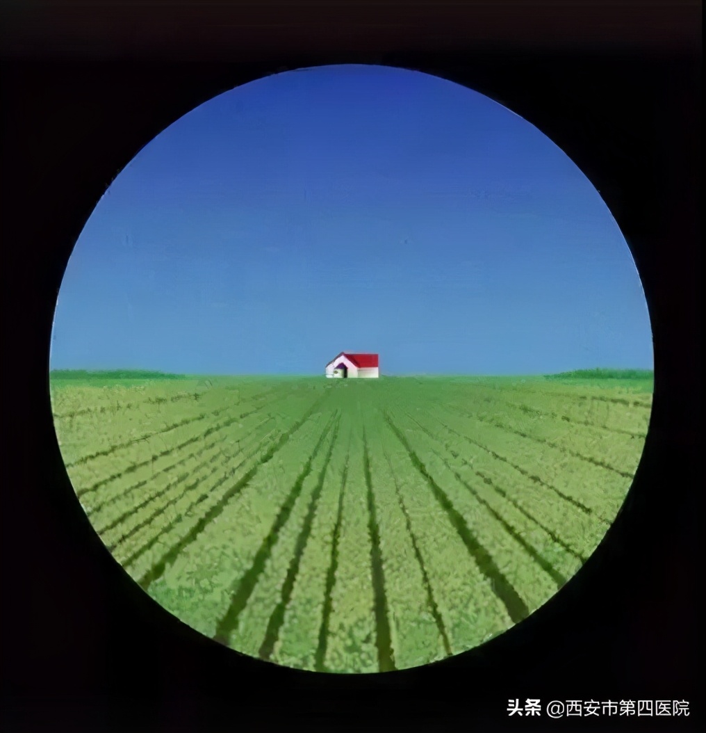 近视眼镜近处清楚远处模糊,近视看清楚近处较模糊