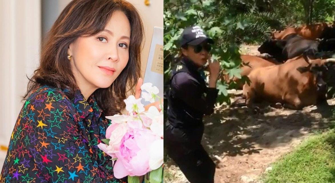 刘嘉玲街头被偶遇,刘嘉玲去动物园看熊猫