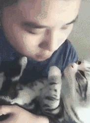 科学研究表明撸猫好处多多,撸猫已经成为了一种“病”