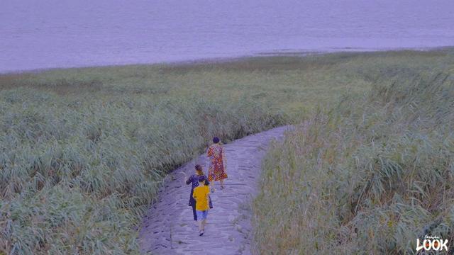 崇明岛地理位置独特,崇明岛过度开发