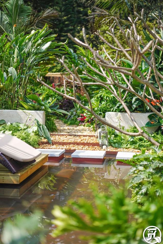 深圳史上最大最美的花展来啦,走进深圳仙湖植物园的国际花展