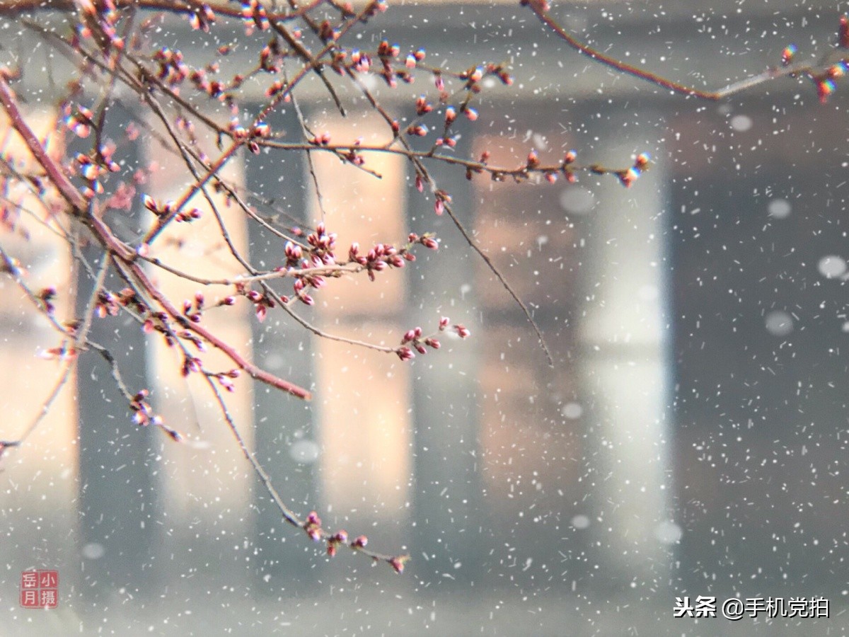 下雪天手机怎么拍慢动作雪景,手机下雪拍雪景专业模式