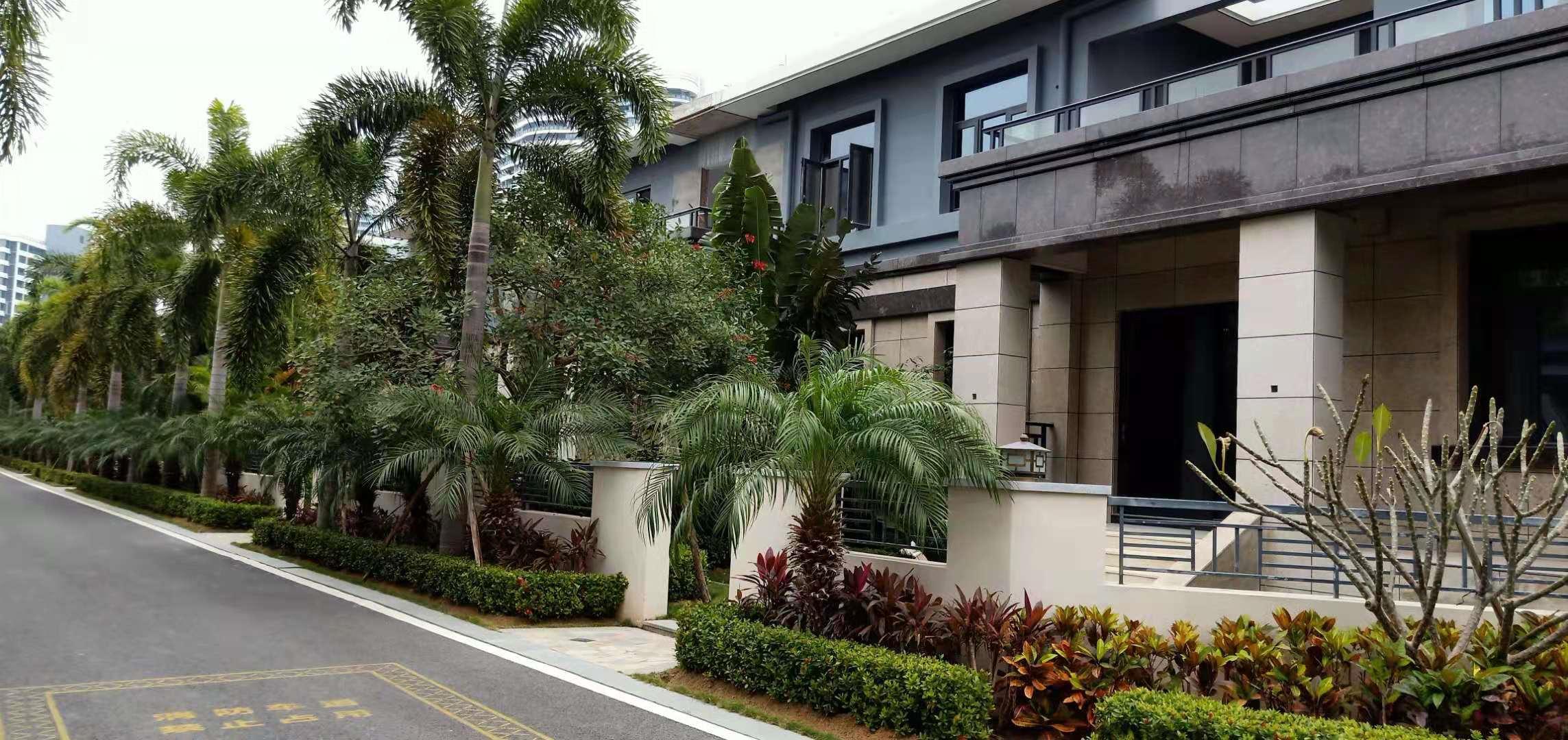 海南东方一线海景房开间,海南东方最好的海景房一套多少钱