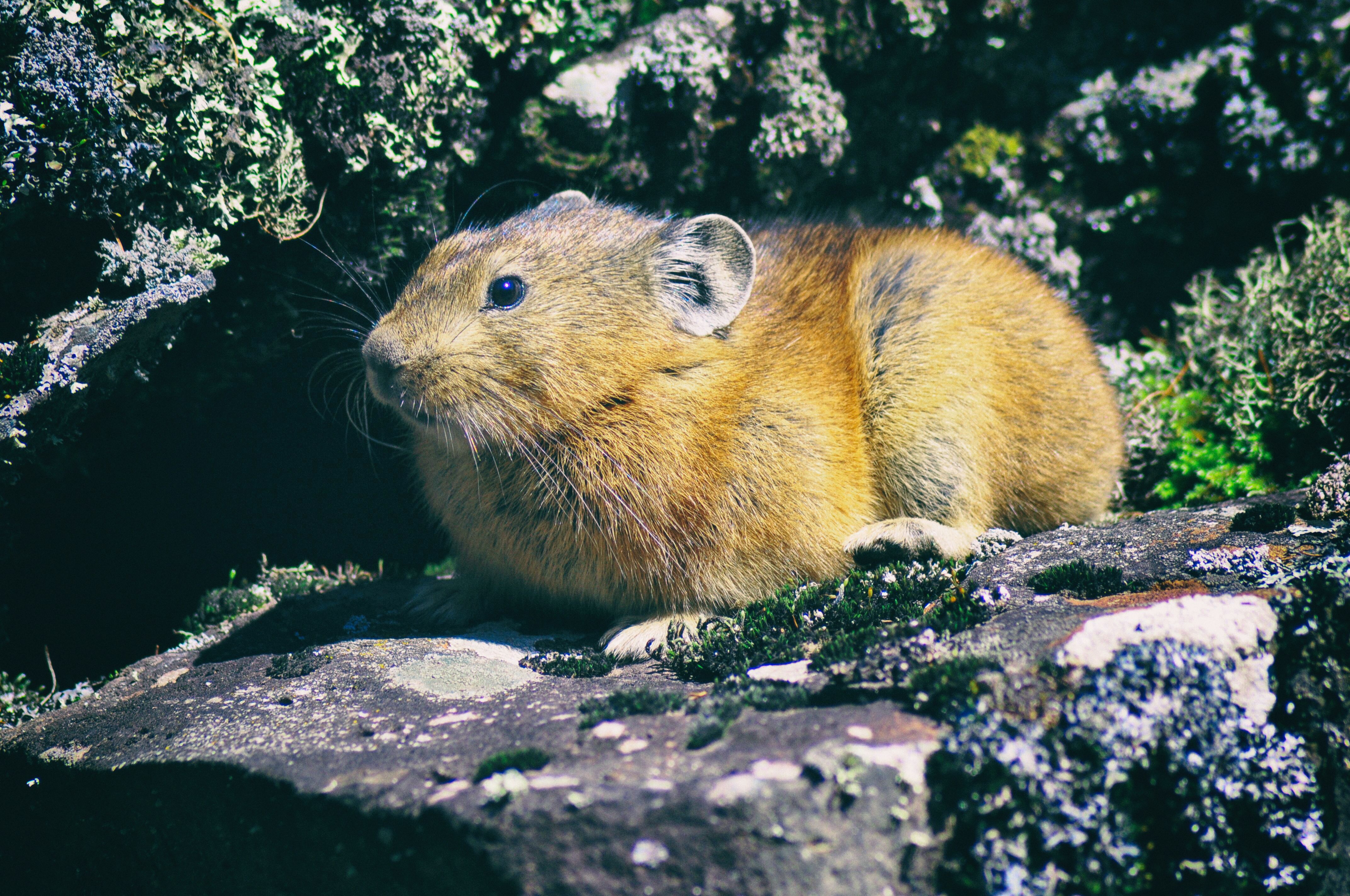 东北边疆,东北行游记2019