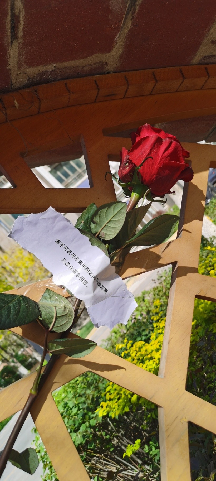 情商不高的星座,天才级别的三大星座智商情商双高